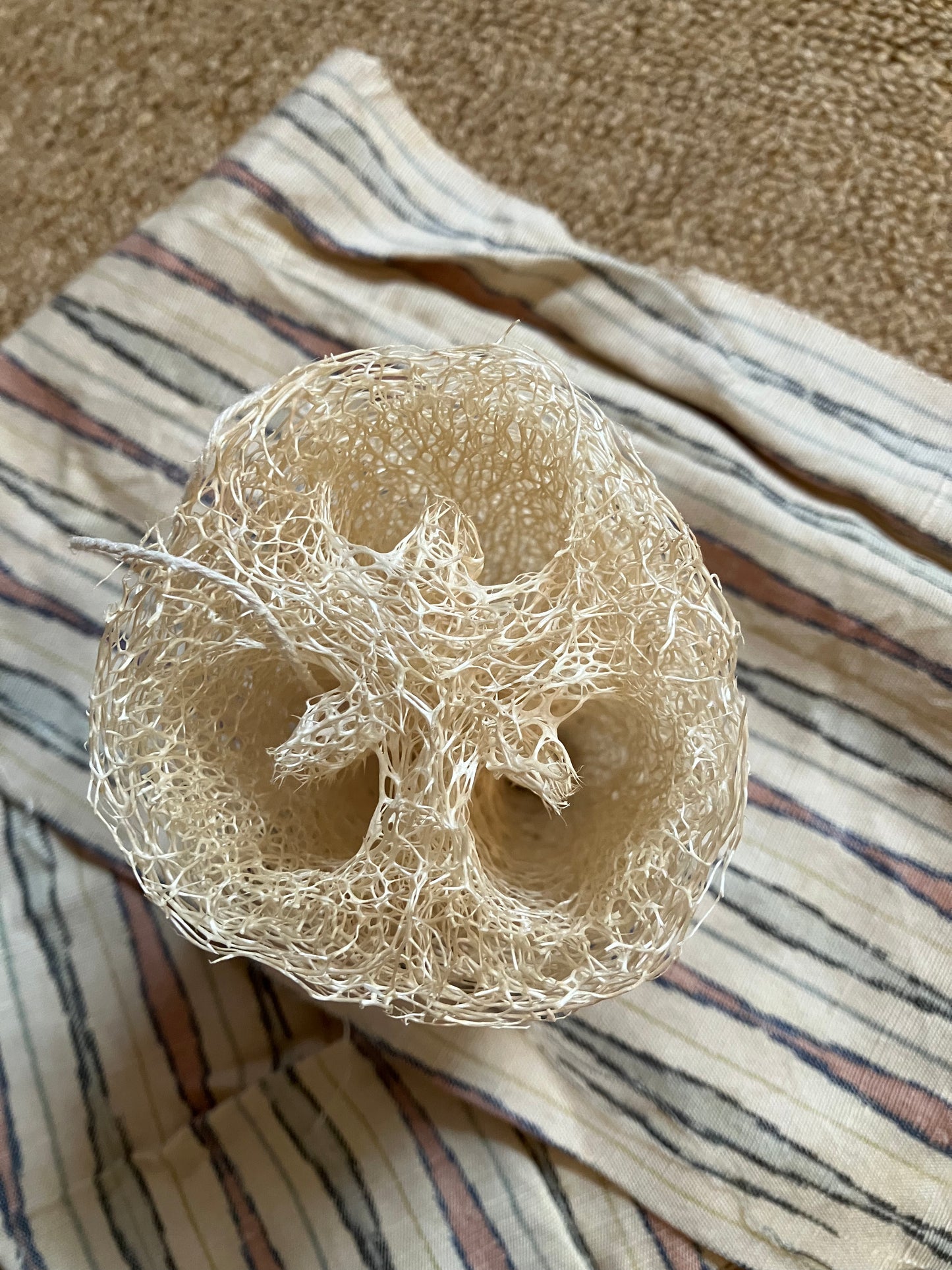 All natural loofah sponge